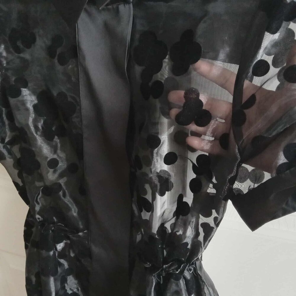 Shirt Collared Sheer Dress with Velvet Blossom Pattern - Picture 3 of 9